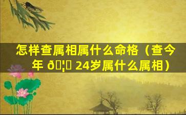 怎样查属相属什么命格（查今年 🦆 24岁属什么属相）